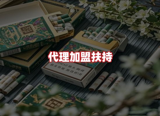 专业团队